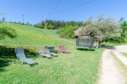 Der Außenbereich des Fixenhof mit Grillhütte, Spielplatz, Schaukel und Liegestühlen - Ferien auf dem Bauernhof in Mühlenbach im Kinzigtal (Ortenaukreis) Der Außenbereich des Fixenhof mit Grillhütte, Spielplatz, Schaukel und Liegestühlen - Ferien auf dem Bauernhof in Mühlenbach im Kinzigtal (Ortenaukreis)