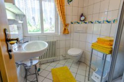 Das Badezimmer der Ferienwohnung Hof auf dem Fixenhof - Ferien auf dem Bauernhof in Mühlenbach im Kinzigtal (Ortenaukreis) Das Badezimmer der Ferienwohnung Hof auf dem Fixenhof - Ferien auf dem Bauernhof in Mühlenbach im Kinzigtal (Ortenaukreis)
