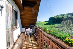 Blick vom Balkon der Ferienwohnung Ponyweide auf dem Fixenhof - Ferien auf dem Bauernhof in Mühlenbach im Kinzigtal (Ortenaukreis) Blick vom Balkon der Ferienwohnung Ponyweide auf dem Fixenhof - Ferien auf dem Bauernhof in Mühlenbach im Kinzigtal (Ortenaukreis)