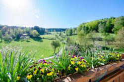 Blick vom Balkon der Ferienwohnung Ponyweide auf dem Fixenhof - Ferien auf dem Bauernhof in Mühlenbach im Kinzigtal (Ortenaukreis) Blick vom Balkon der Ferienwohnung Ponyweide auf dem Fixenhof - Ferien auf dem Bauernhof in Mühlenbach im Kinzigtal (Ortenaukreis)