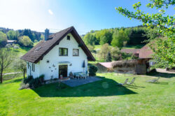 Ferienhaus Wohnung Ponyweide und Bauerngarten auf dem Fixenhof - Ferien auf dem Bauernhof in Mühlenbach im Kinzigtal (Ortenaukreis) Ferienhaus Wohnung Ponyweide und Bauerngarten auf dem Fixenhof - Ferien auf dem Bauernhof in Mühlenbach im Kinzigtal (Ortenaukreis)